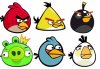 ETHM-Hama+Angry+birds+01.jpg