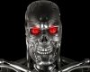 terminatorweb.jpg