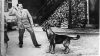 392547-hitler.jpg