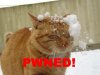 Pwned-48495.jpg