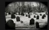 graveyard.jpg