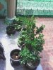image006.jpg