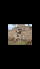 Screenshot_2014-08-16-08-38-35.png