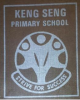 keng seng report book written.png