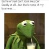 kermit-the-frog-memes-03.jpeg