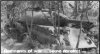 Pailin 03.jpg