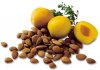 vitamin-b17-laetrile.jpg