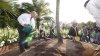 gardens-by-the-bay-tree.jpg