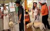 esme-guide-dog2_1.jpg