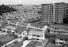 chip_bee_garden_1966-300x2081.jpg