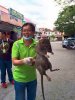 Huge rat.jpg