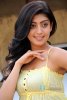 the-most-beautiful-indian-actress-pranitha-photo-18_720_southdreamz.jpg