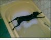 I-dont-want-a-bath_c_91163.jpeg