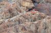snowleopard.jpg