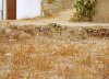 camouflage-cat.jpg