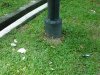 everyfewmetresthereislitter2.jpg