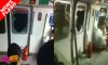 desperate_passengers_stuck_in_tunnel_smashes-thumbnail.jpg
