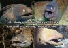 daily-morning-awesomeness-201.jpg