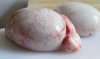 20100510-nastybits-sideviewtesticles.JPG