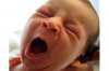big-yawn.jpeg