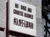 no_dogs_and_chinese_allowed.jpg