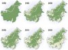 deforestation-borneo.jpg