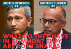 1740125547602.png