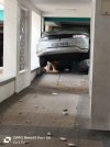 IMG_6658.jpeg