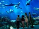 20161020045224_108154361_13080_0.webp