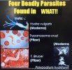 crap-vaccine.jpg