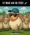 FB_IMG_1745362480710.jpg