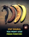 humble.jpg