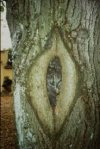 IMG_1112.jpeg