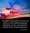 IDF 2.jpg