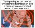 FB_IMG_1750649588759.jpg