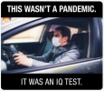 1750961636073.png