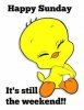 happysunday.jpg