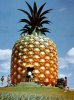 the-big-pineapple-near-nambour-queensland.jpg