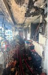 IMG_1268.jpeg