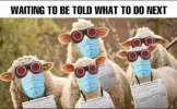 FB_IMG_1755914738656.jpg