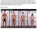 FB_IMG_1756179248296.jpg