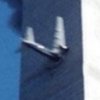 IMG_7733.jpeg