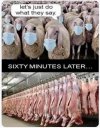FB_IMG_1756953549850.jpg