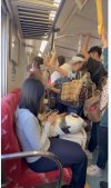 IMG_1648.jpeg