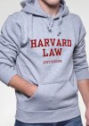 harvard-law-just-kidding-adult-hoodie-16.jpg