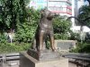 Dog-Hero-Japan-dog-Famouse-dog-3.jpg