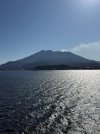 IMG_3375.jpeg