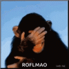 monkey-meme.gif