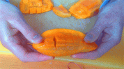 giphy (4).gif
