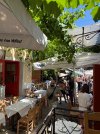 IMG_2347.jpeg